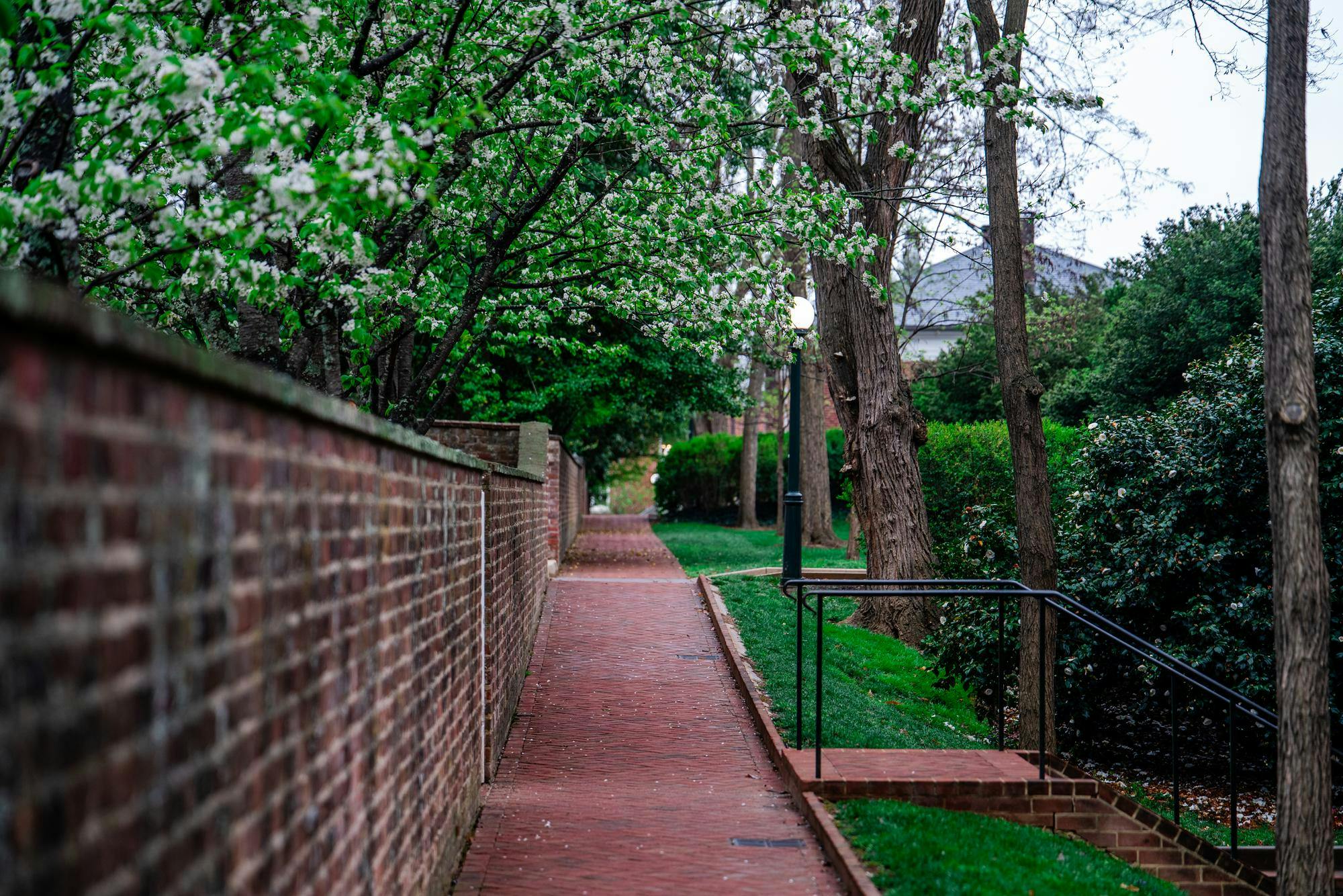An alley behind the Lawn, photographed April 3, 2025. 