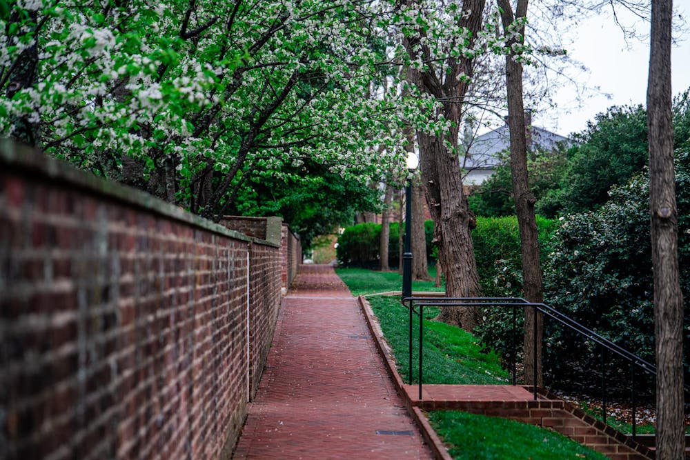 An alley behind the Lawn, photographed April 3, 2025. 