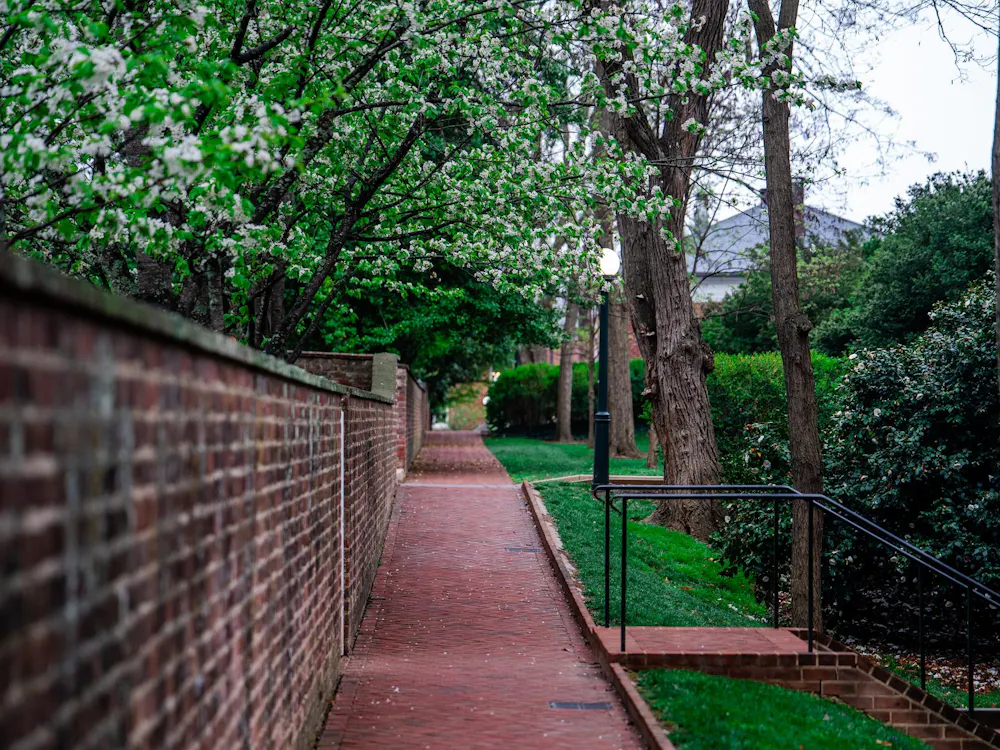 An alley behind the Lawn, photographed April 3, 2025.