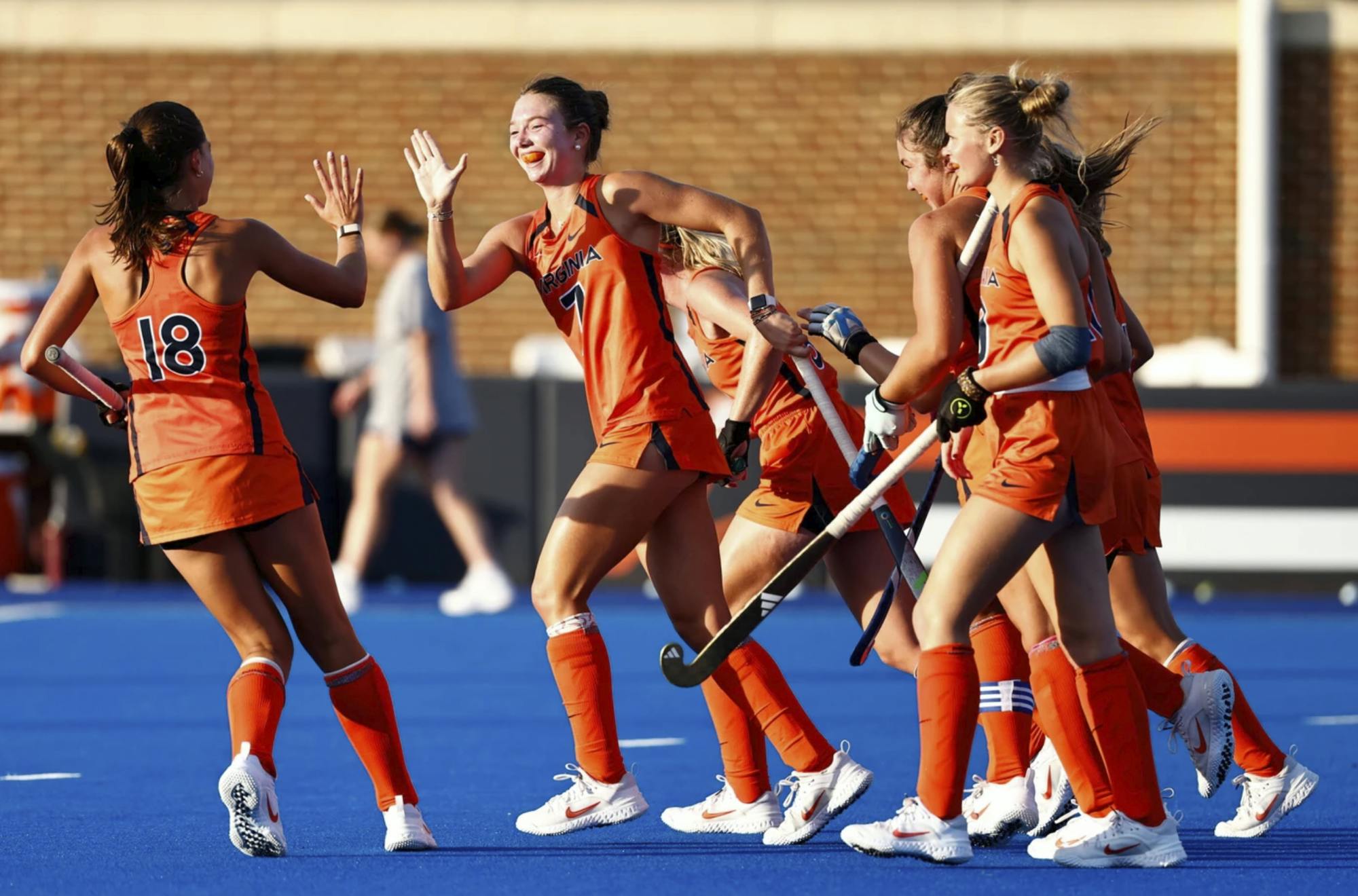 Virginia's defense was dominant, and a single goal was enough to secure the win.