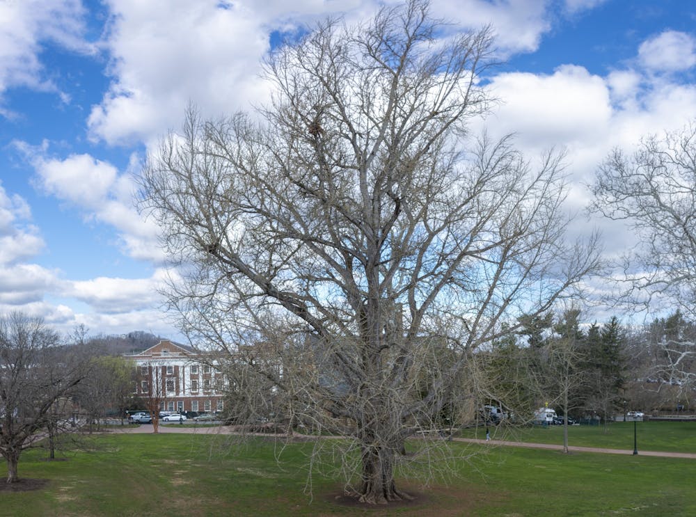 <p>Spring has been knocking on our door, teasing us with 70-degree weather. Get outside and sit by the famous Pratt-Gingko Tree on the northwest side of the Rotunda. Marvel in the beauty of this historic tree that has covered several generations of students.</p>