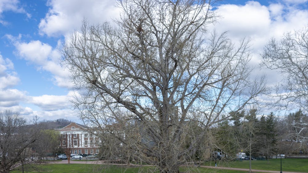Spring has been knocking on our door, teasing us with 70-degree weather. Get outside and sit by the famous Pratt-Gingko Tree on the northwest side of the Rotunda. Marvel in the beauty of this historic tree that has covered several generations of students.