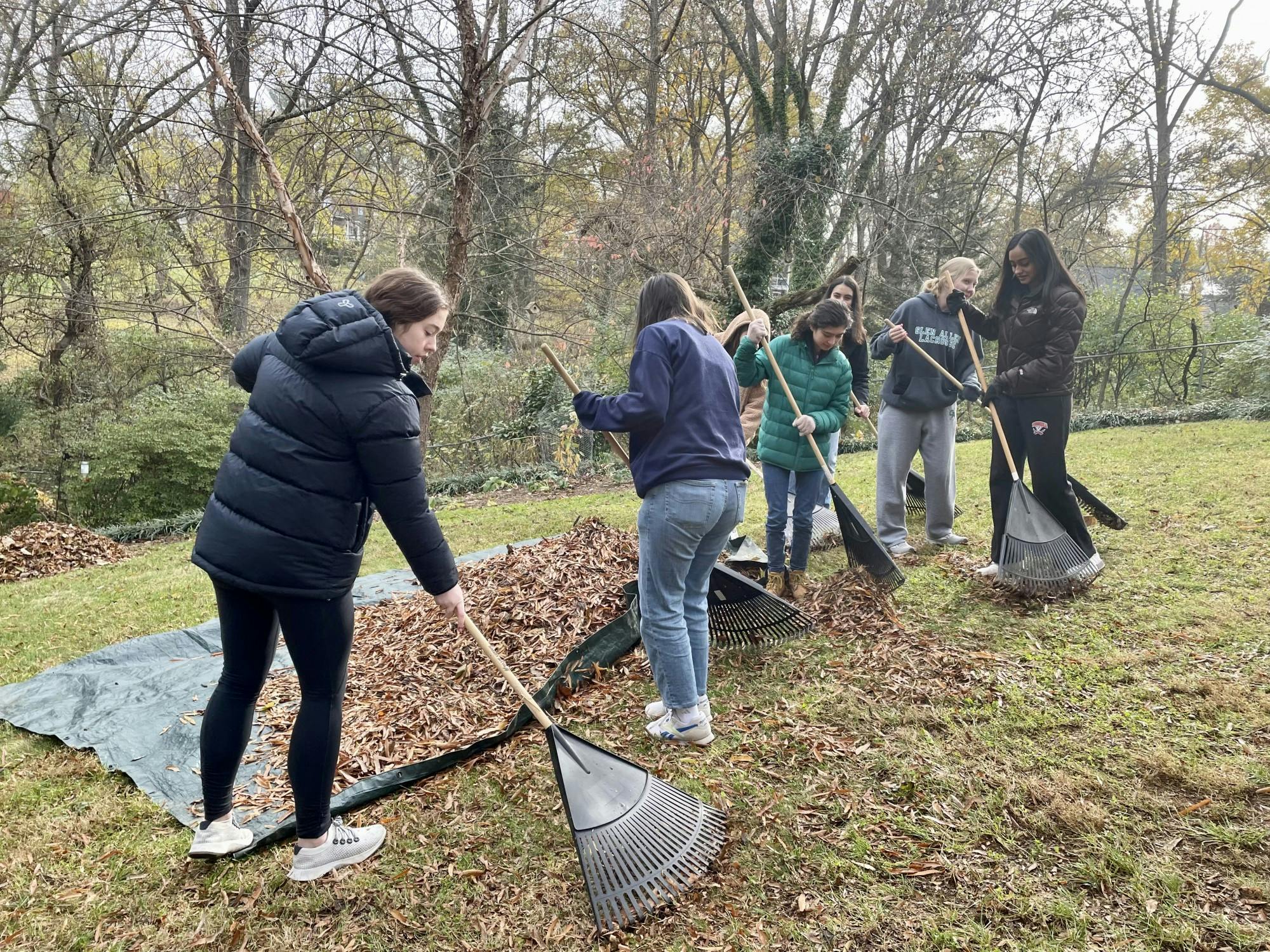Team members quickly found a spot in each yard to start raking and began clearing the yard in sections.