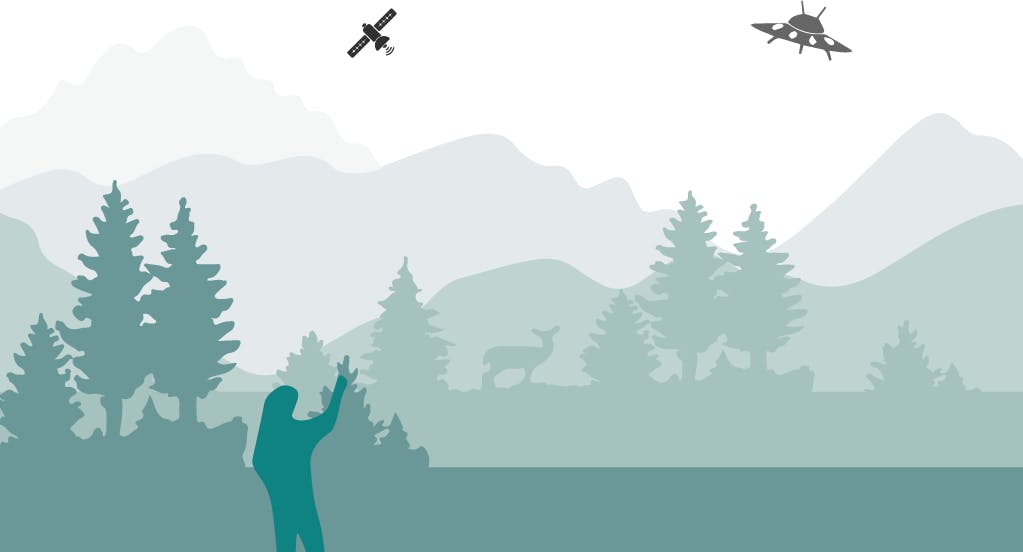 Looking up at the sky to appreciate the tranquility of every day.