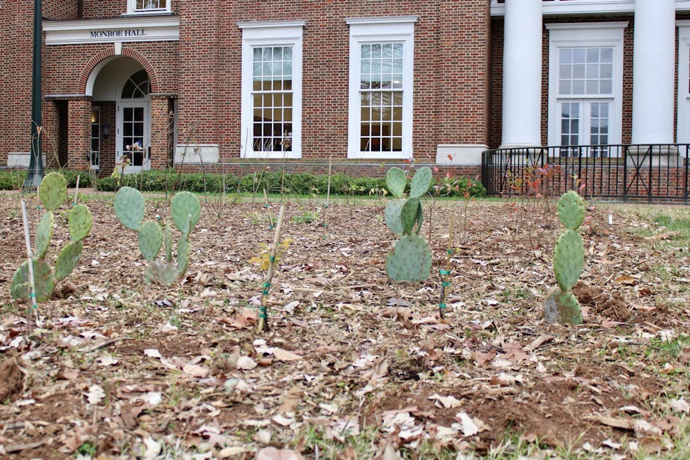 <p>Germain said planting days can have anywhere between 40 to 90 student volunteers depending on the size of the patch</p>