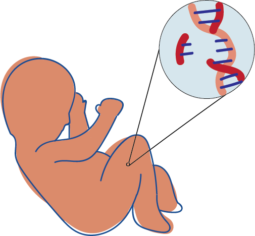 Despite his assertions, He has not released any data from or documentation of his experiment.