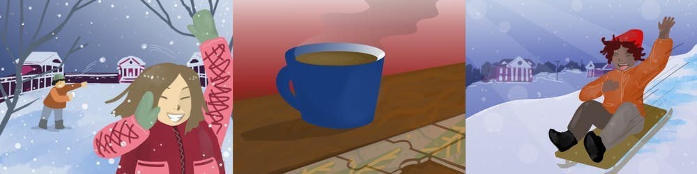 在每年的第一个下雪天的午夜时分在Rotunda前面打雪仗是弗大的传统之一。 