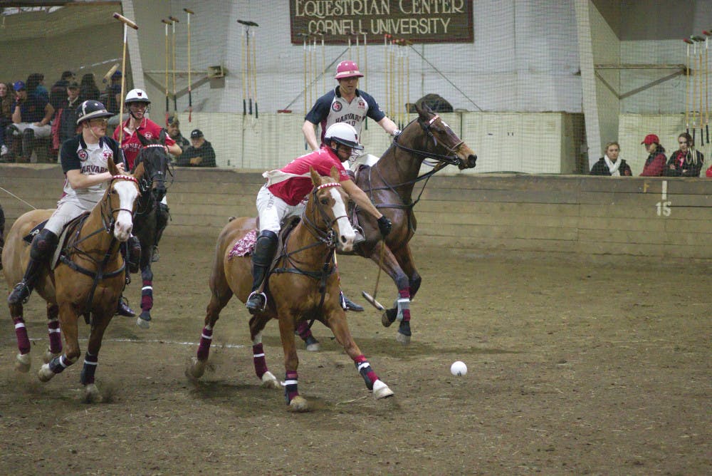 Mens-Polo-vs-Harvard-by-Adrian-BoteanuIMGP3027
