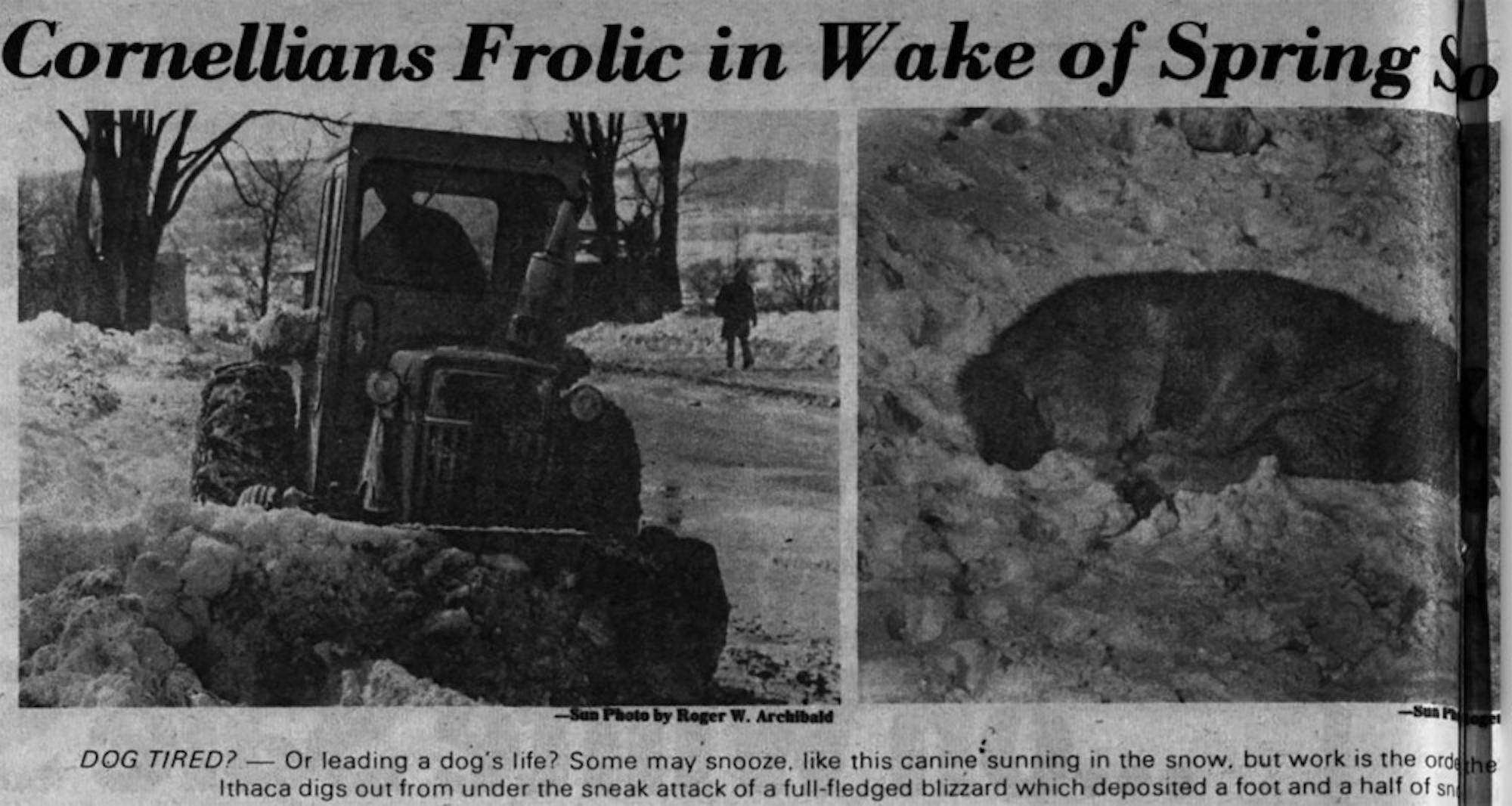 Pg-3-solar-flackback-2019-12-04-at-1.59.50-PM