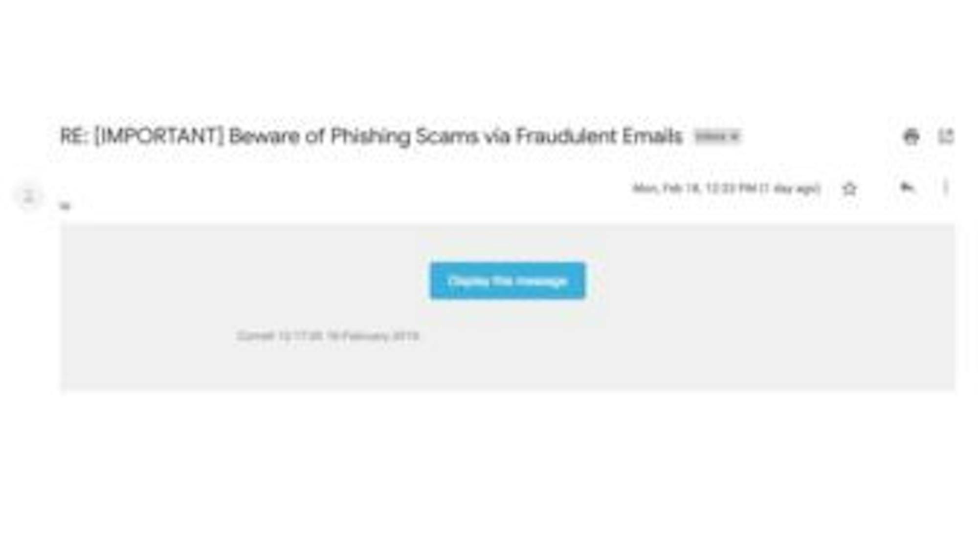 A screenshot taken of the phishing email.