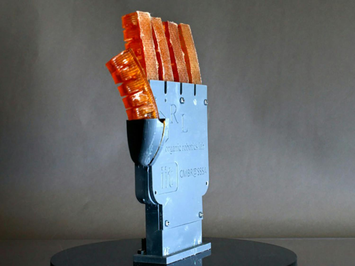 Pg-7-Science-Robotics-Courtesy-of-Organic-Robotics-Lab