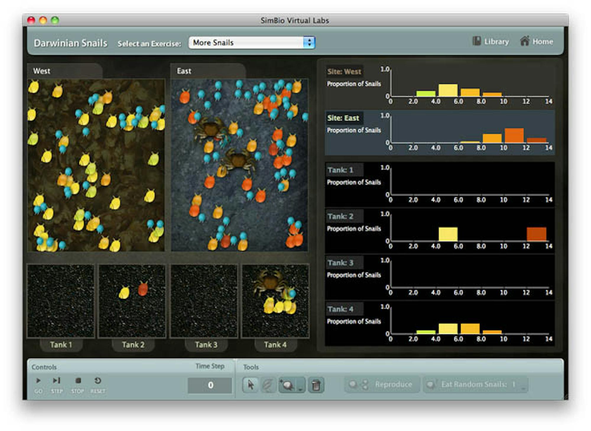 An example of SimBio's virtual labs, covering darwinian evolution in snails.