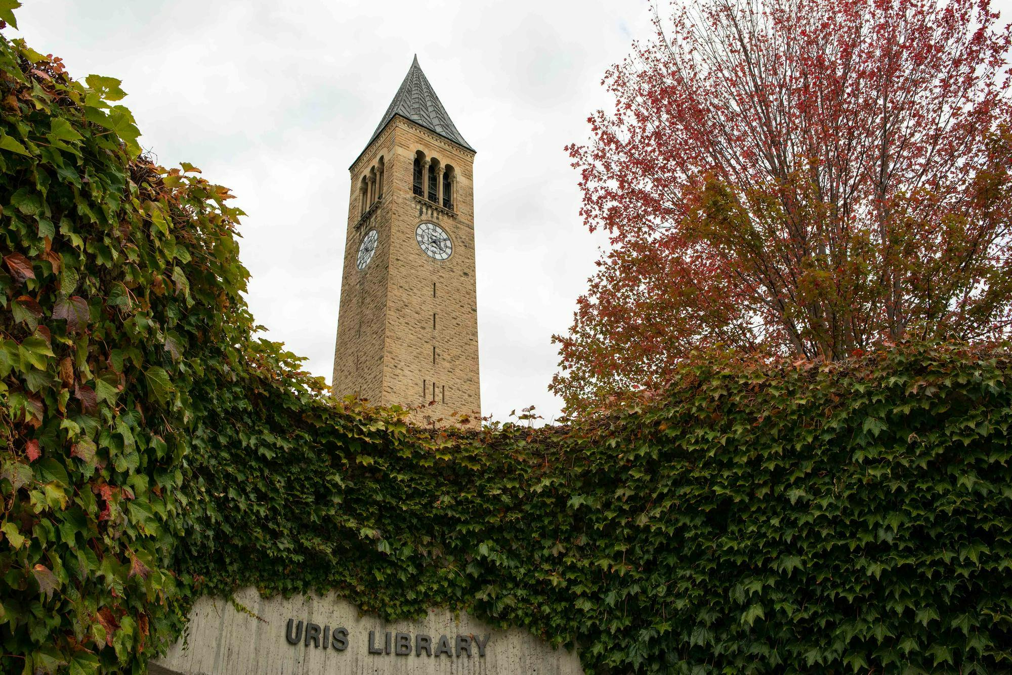 HR Copy of LDK-Fall-Candids-3.jpg