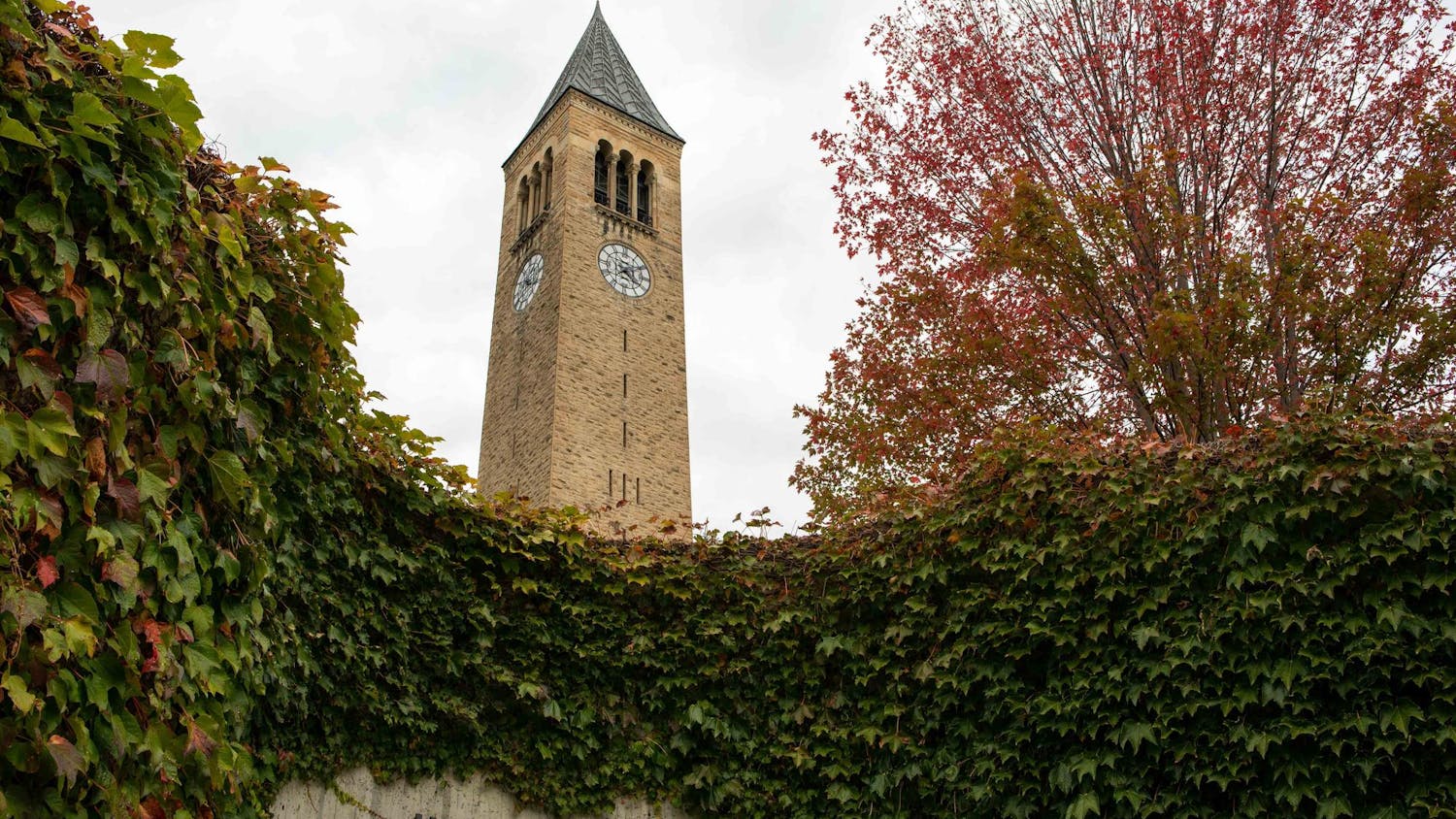 HR Copy of LDK-Fall-Candids-3.jpg