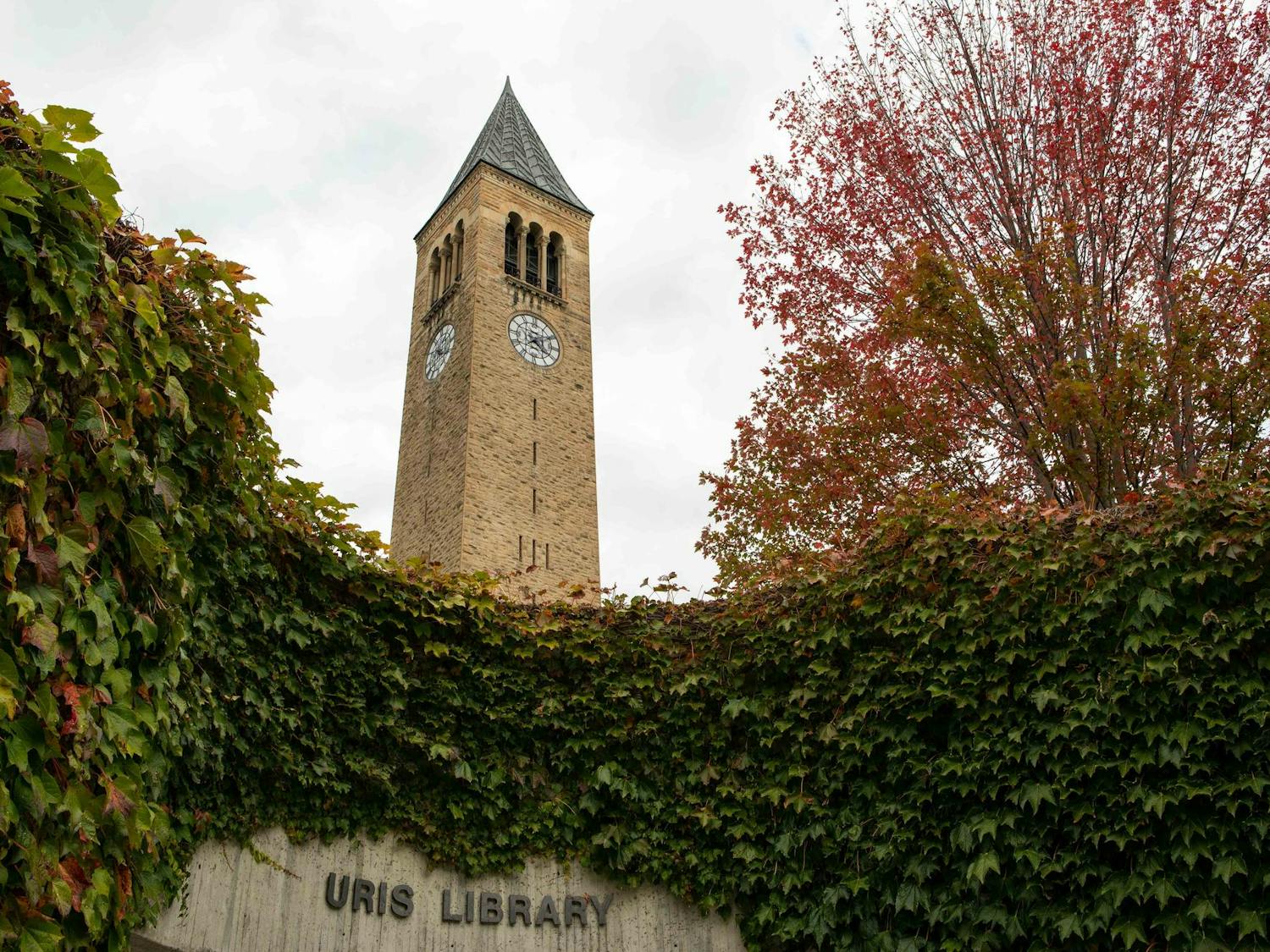 HR Copy of LDK-Fall-Candids-3.jpg