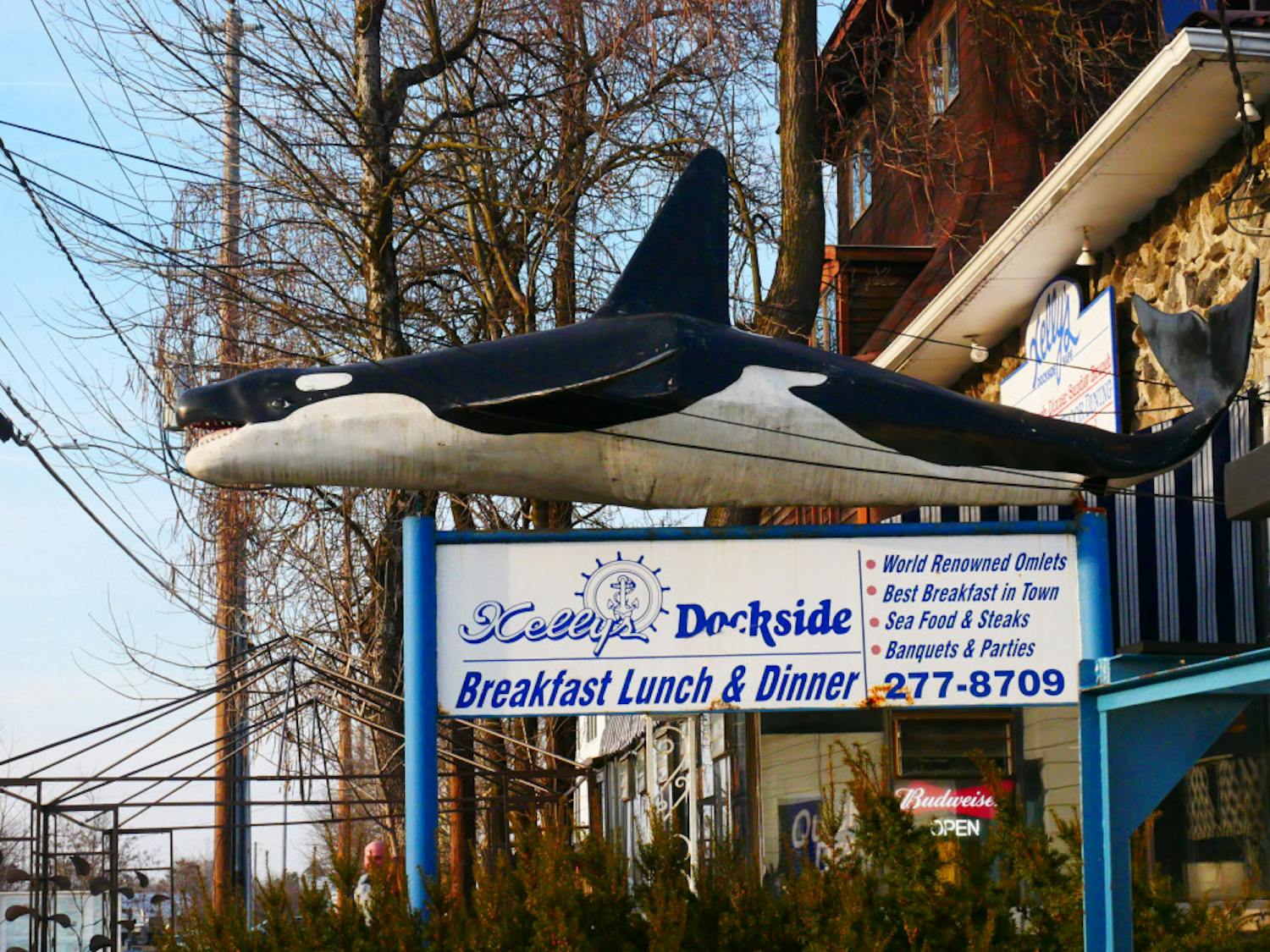 34CE724E-9BEA-4A04-8EC0-8ACA3FD44CDD-scaled