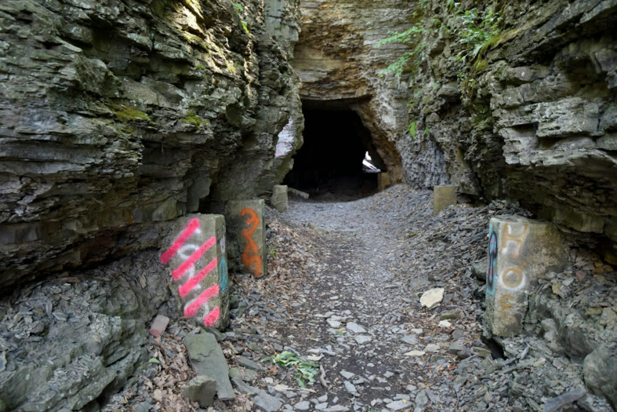 Ithaca approved Cornell's proposal to build at the entrance of Ezra's Tunnel, above, which leads to gorges where two Cornell students have died in the last seven years.