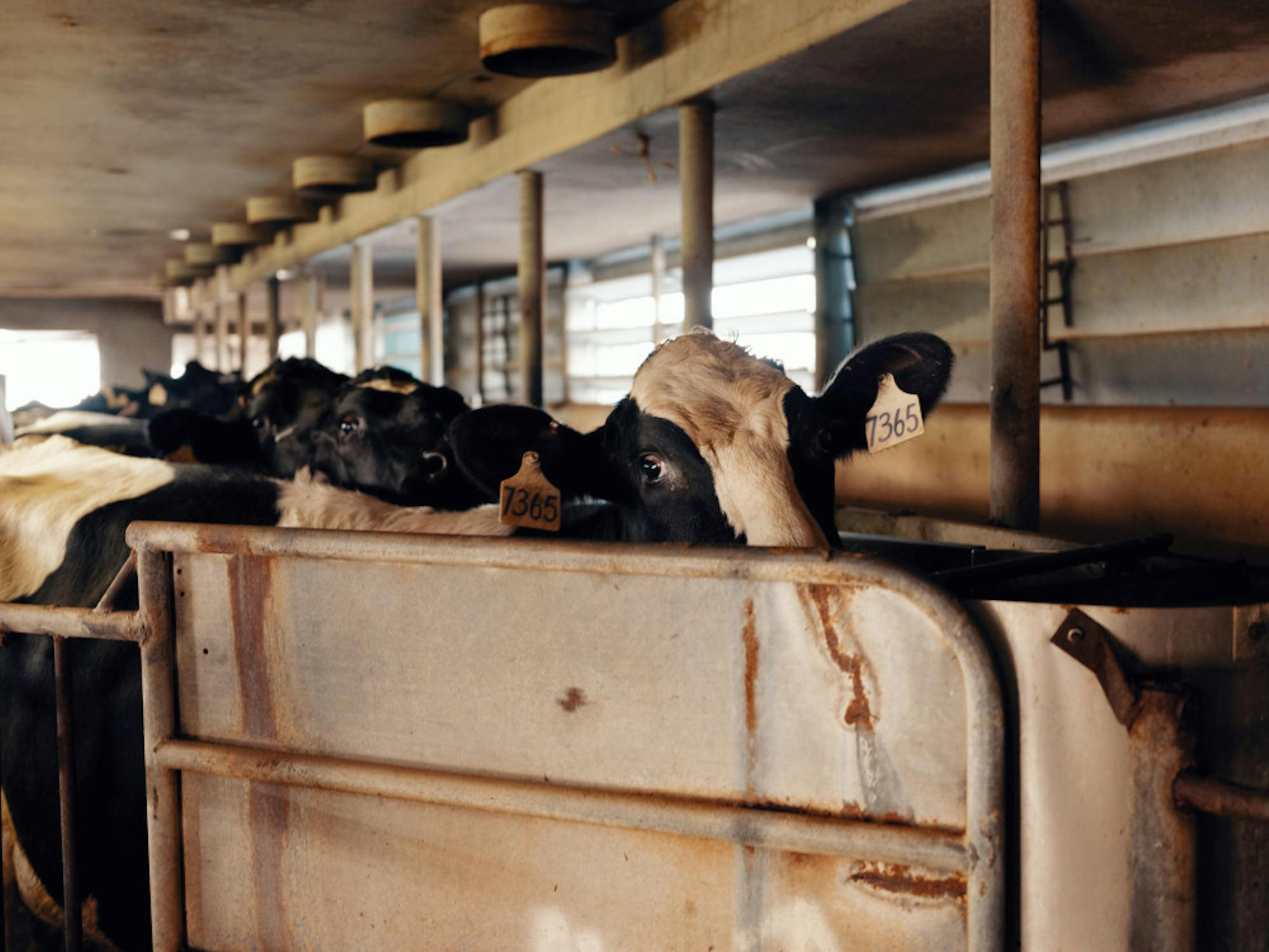 FARMERS-EXPORTS-6-scaled