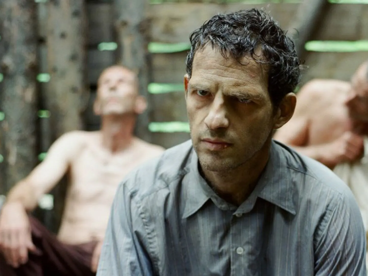 Son-of-Saul-stalone