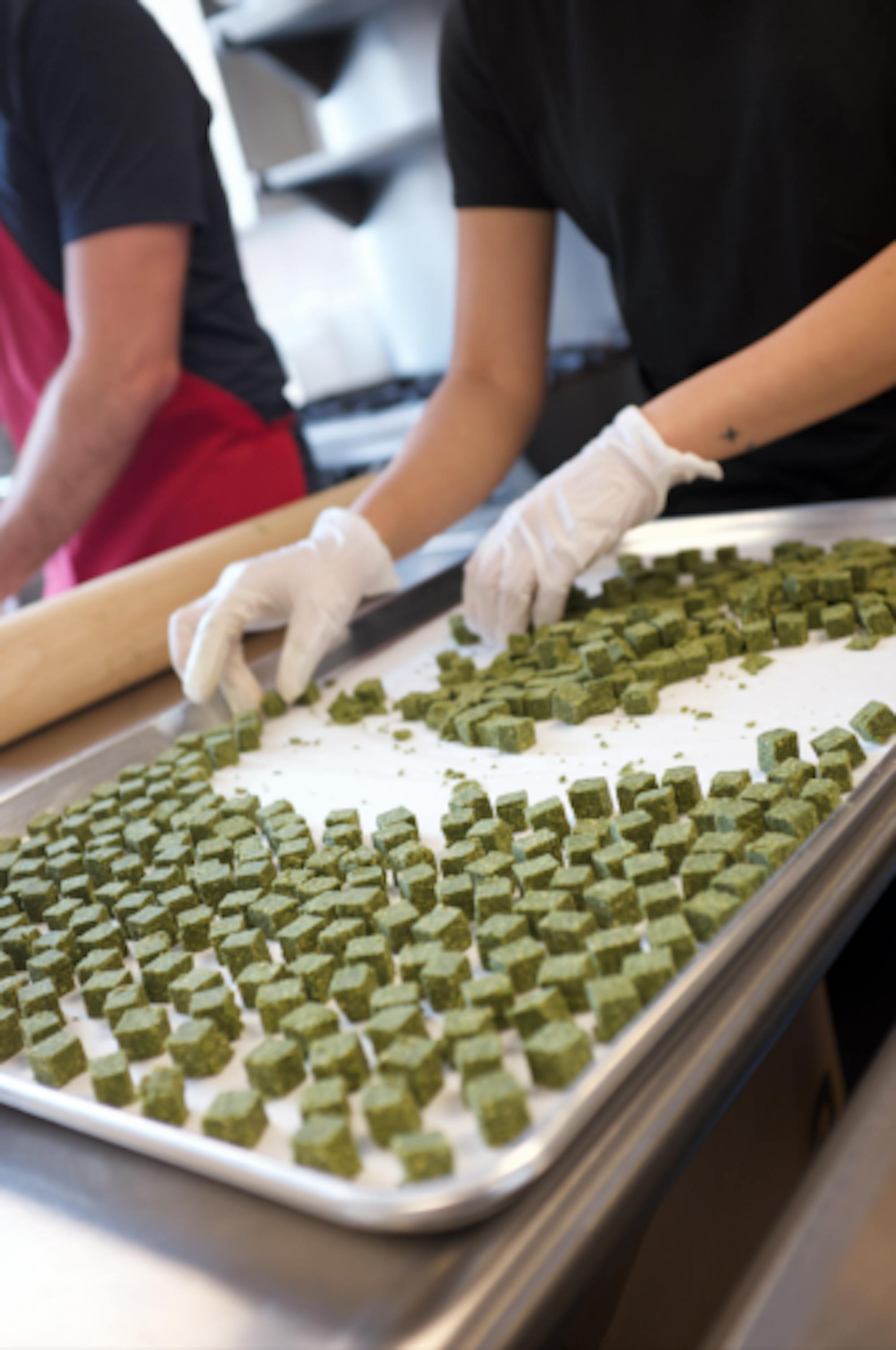 Photo Courtesy of Wenqin Tang