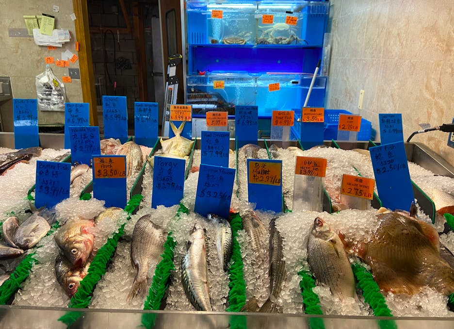 Pg-6-Dining-Renls-Mart-Fish