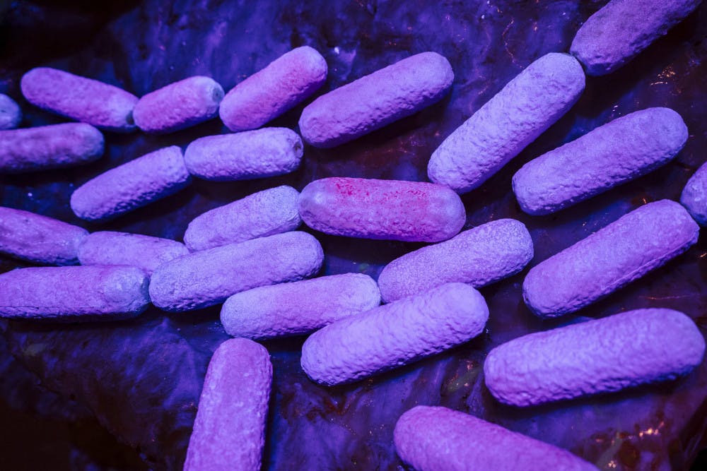 MICROBES_EXHIBIT_REVIEW_3-scaled