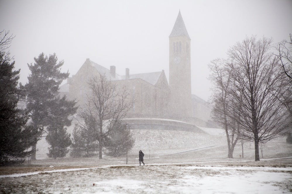 snowy-cornell