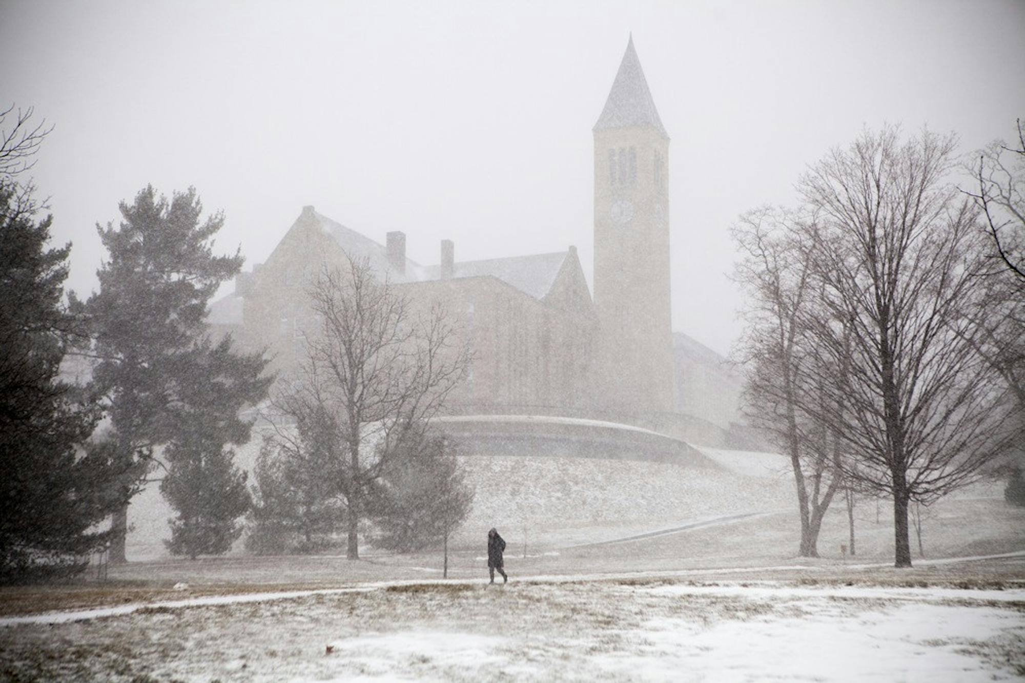 snowy-cornell