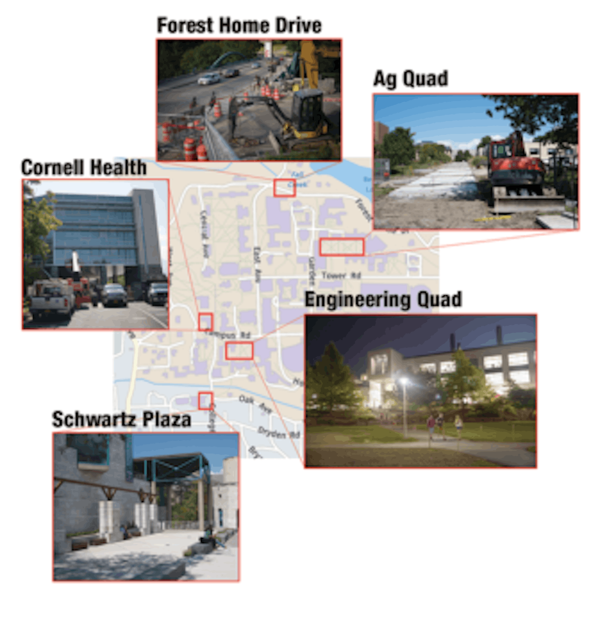 A number of projects have been underway on and off the Cornell campus.