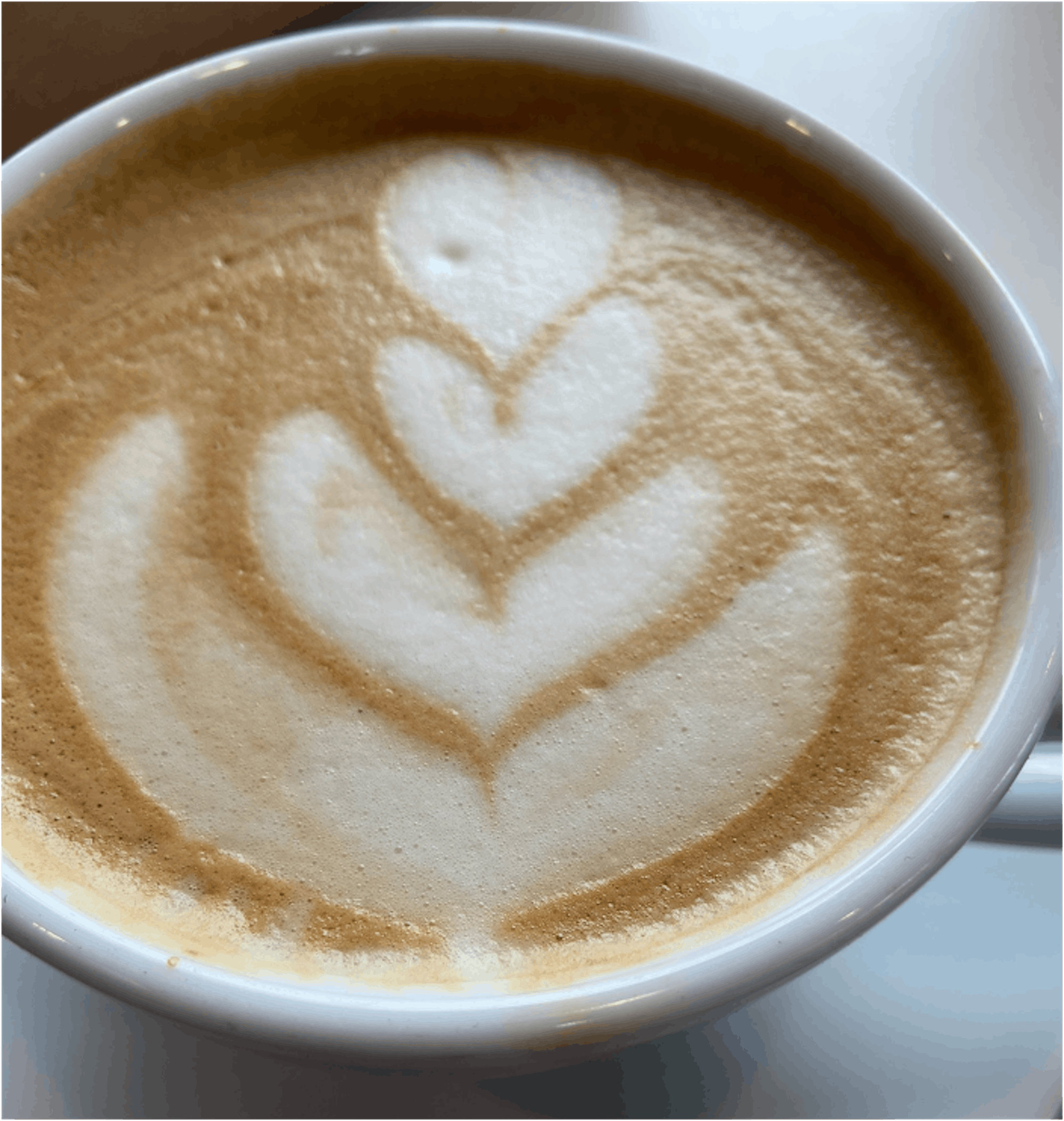 (Melanie Metz/Sun Staff Writer)