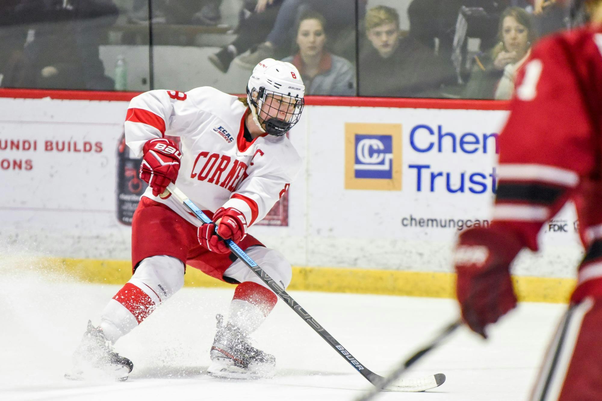 Cornellians in the Pros: Women’s Hockey Edition