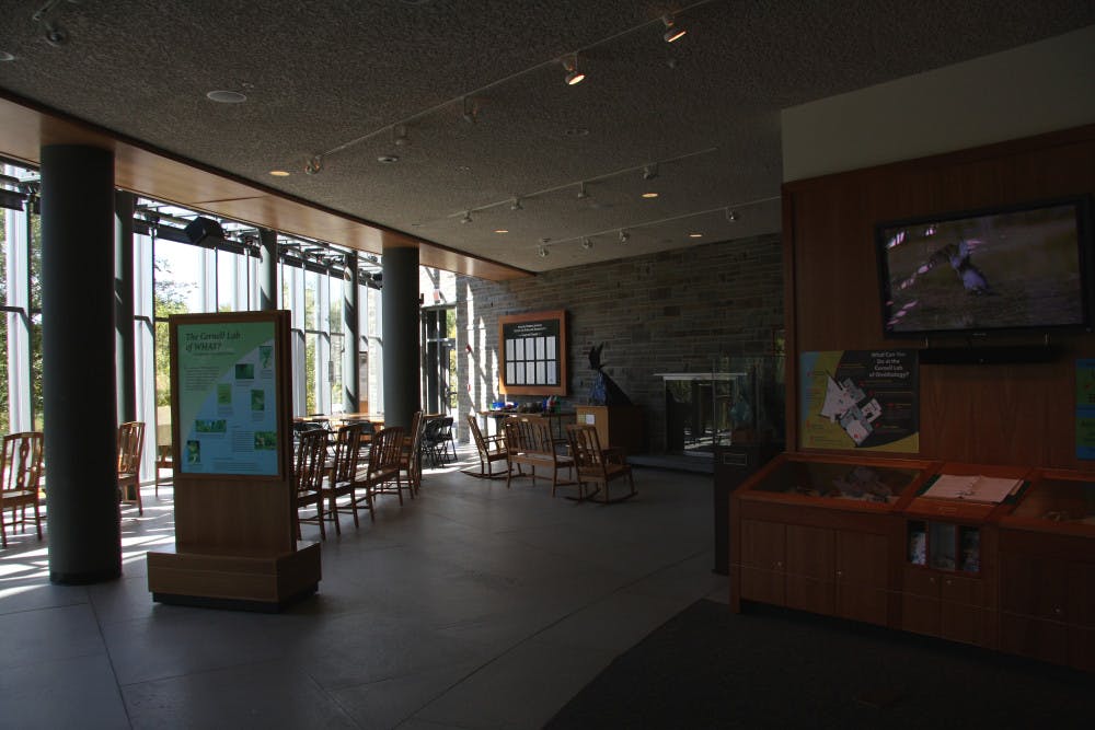 Cornell_Lab_of_Ornithology_interior