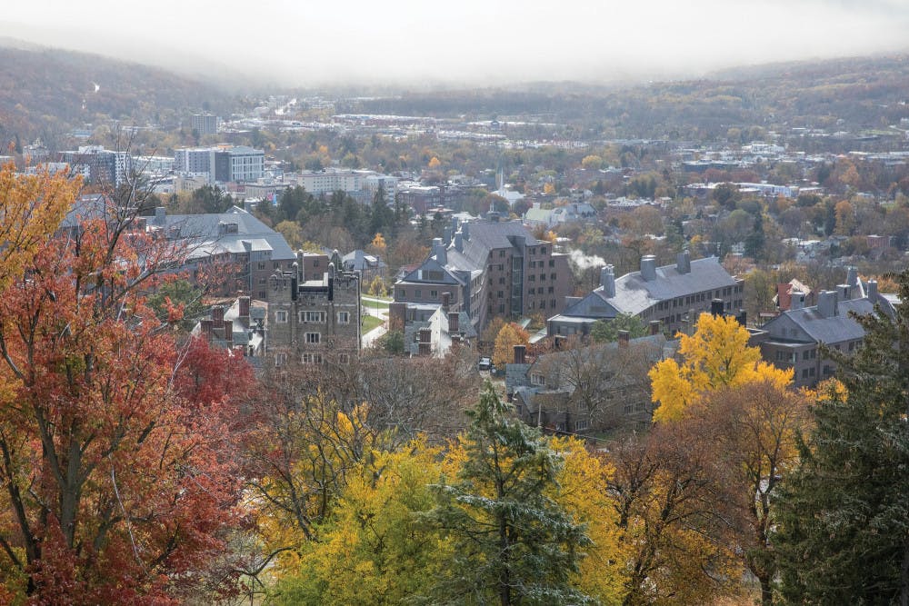 Pg-X-Test-Optional-BW-by-Julia-Nagel-Photo-Editor