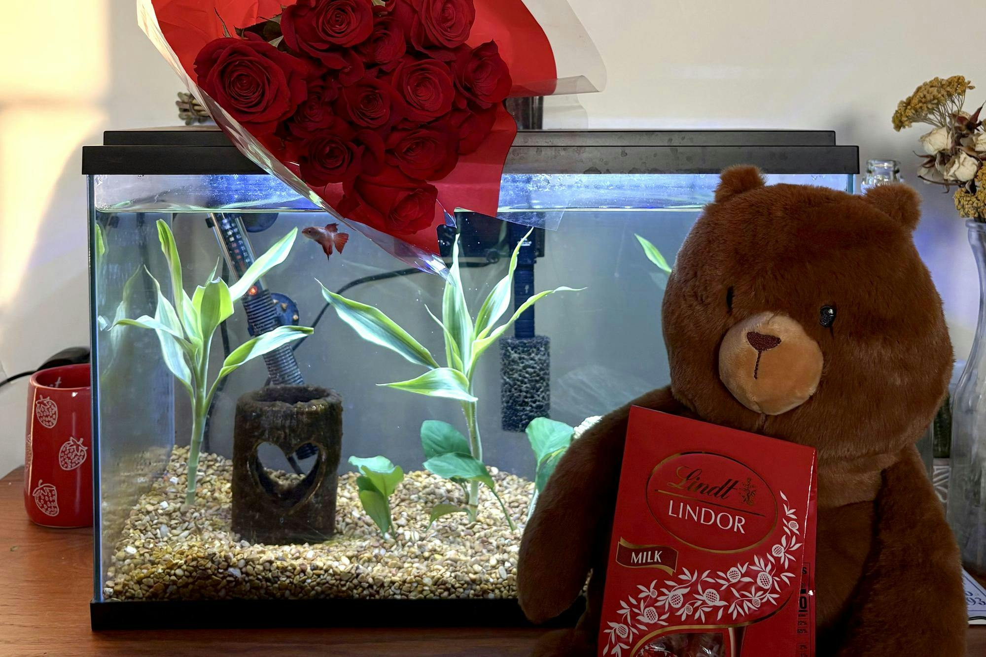 Sunbursts 6 2.19.26.jpeg