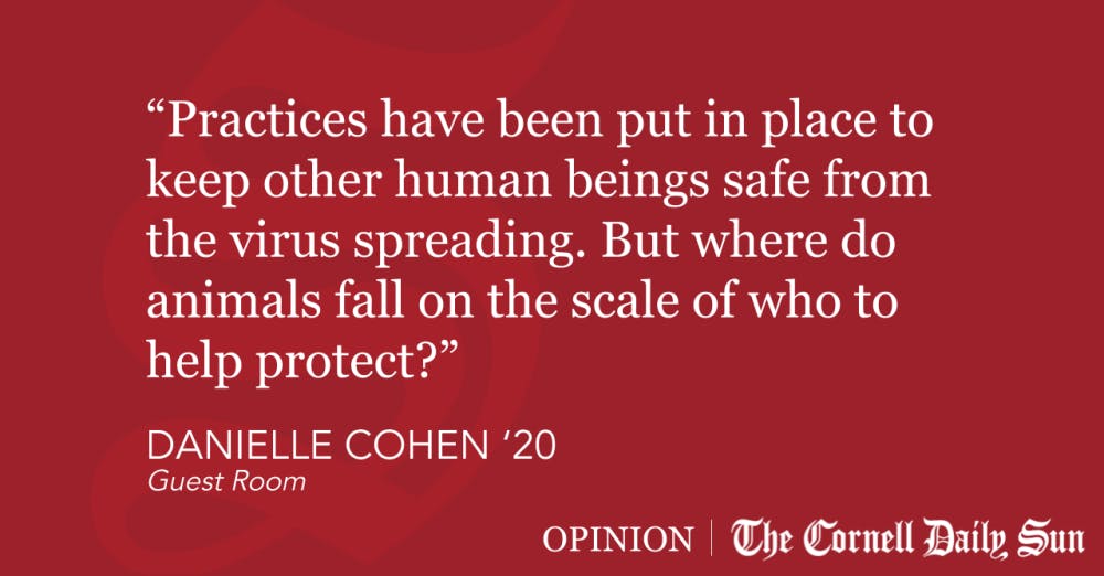 Quote-Block-Templates-16