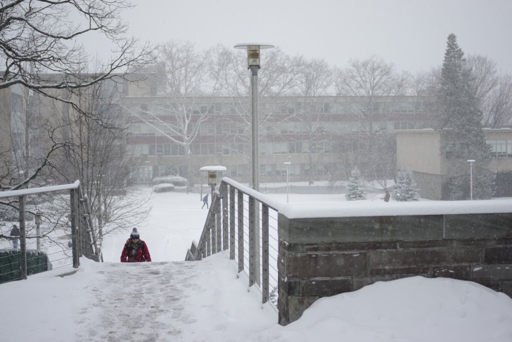 Blizzard-Cornell-by-Adrian-Boteanu-10