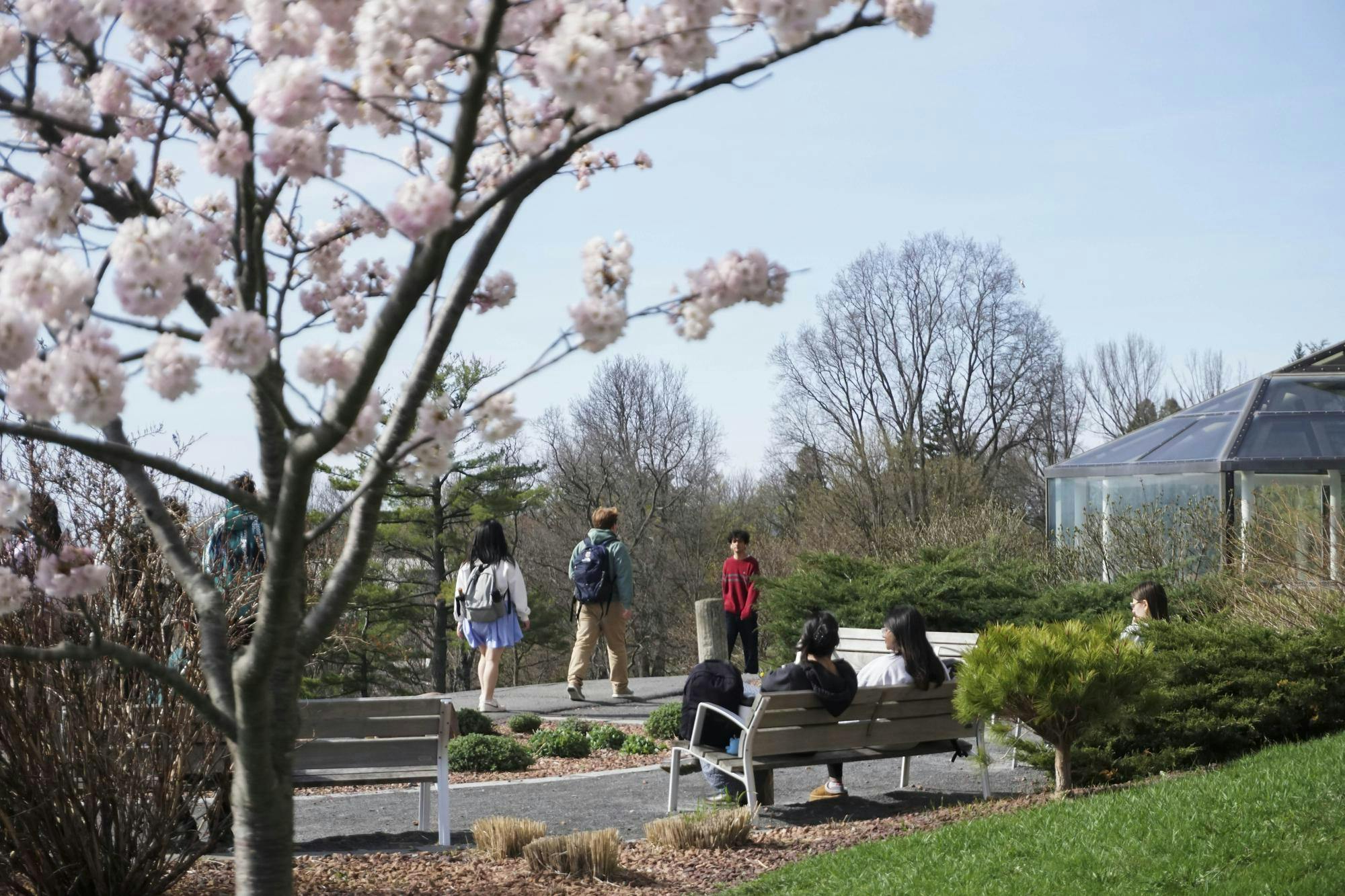 At the Top of Libe Slope in Springtime