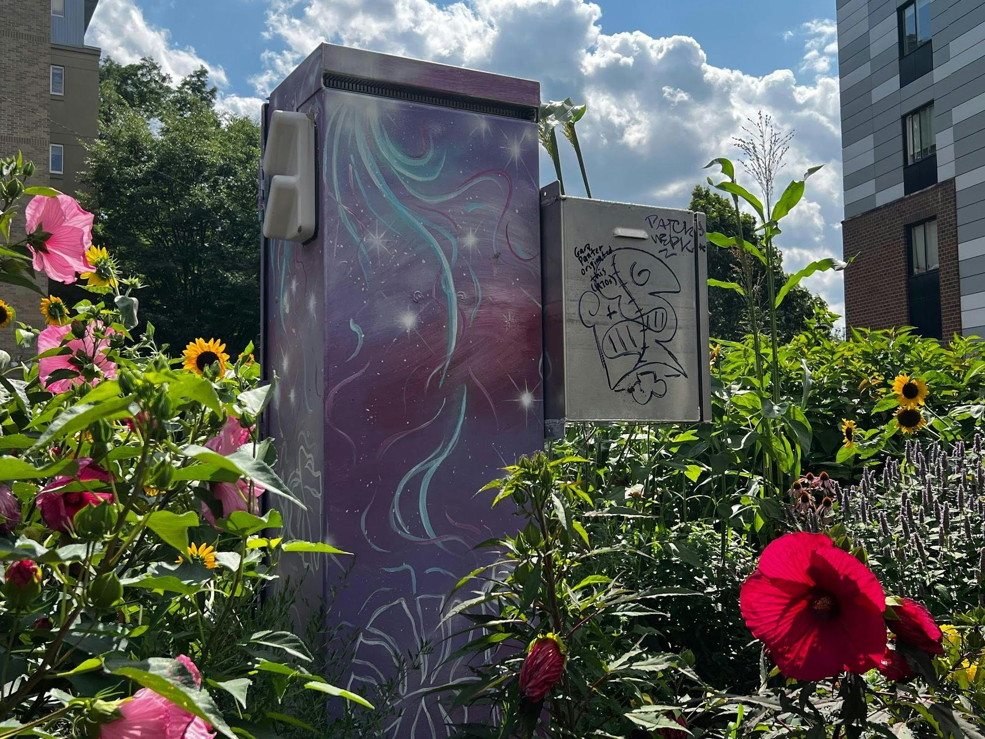 A Mural on an Electric Box