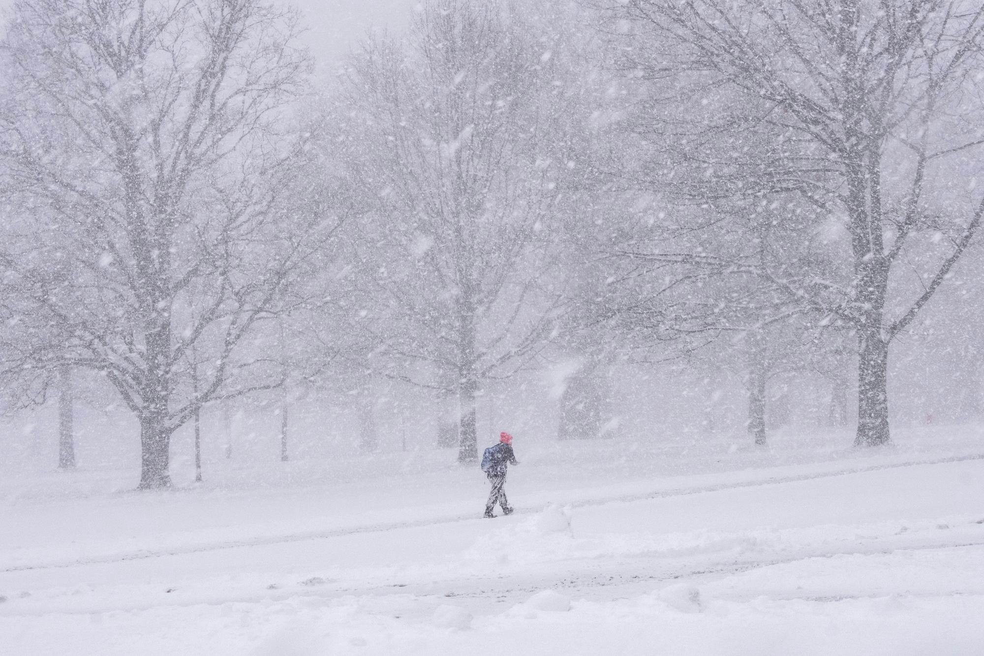 Snowy Arts Squad.jpg