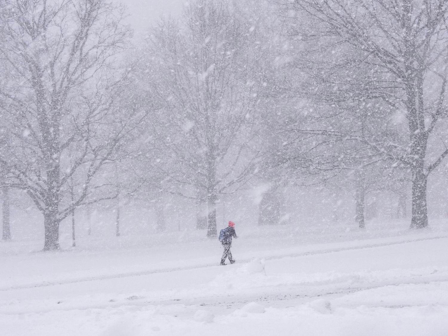 Snowy Arts Squad.jpg