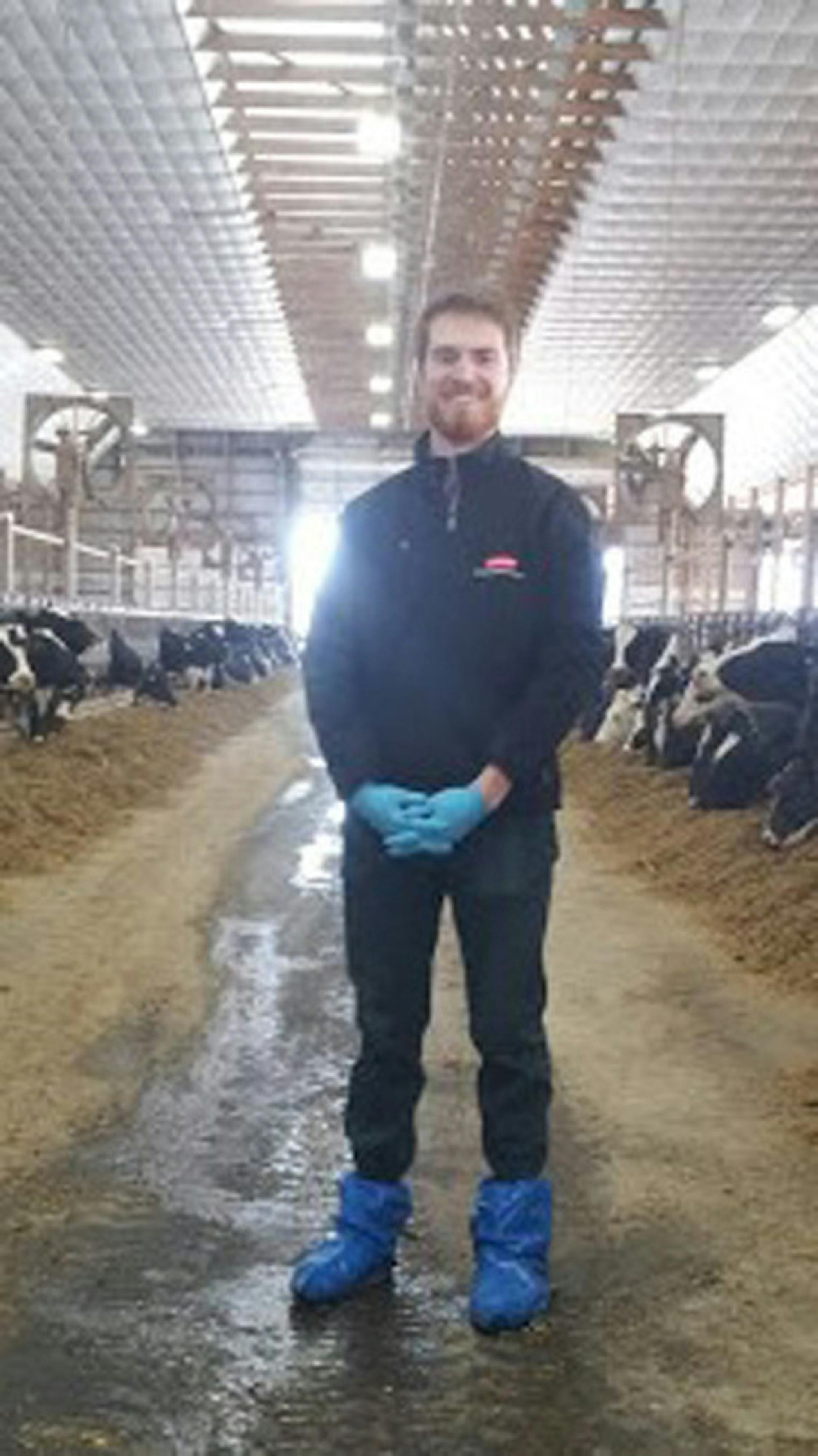 McCabe at the Campus Dairy Farm