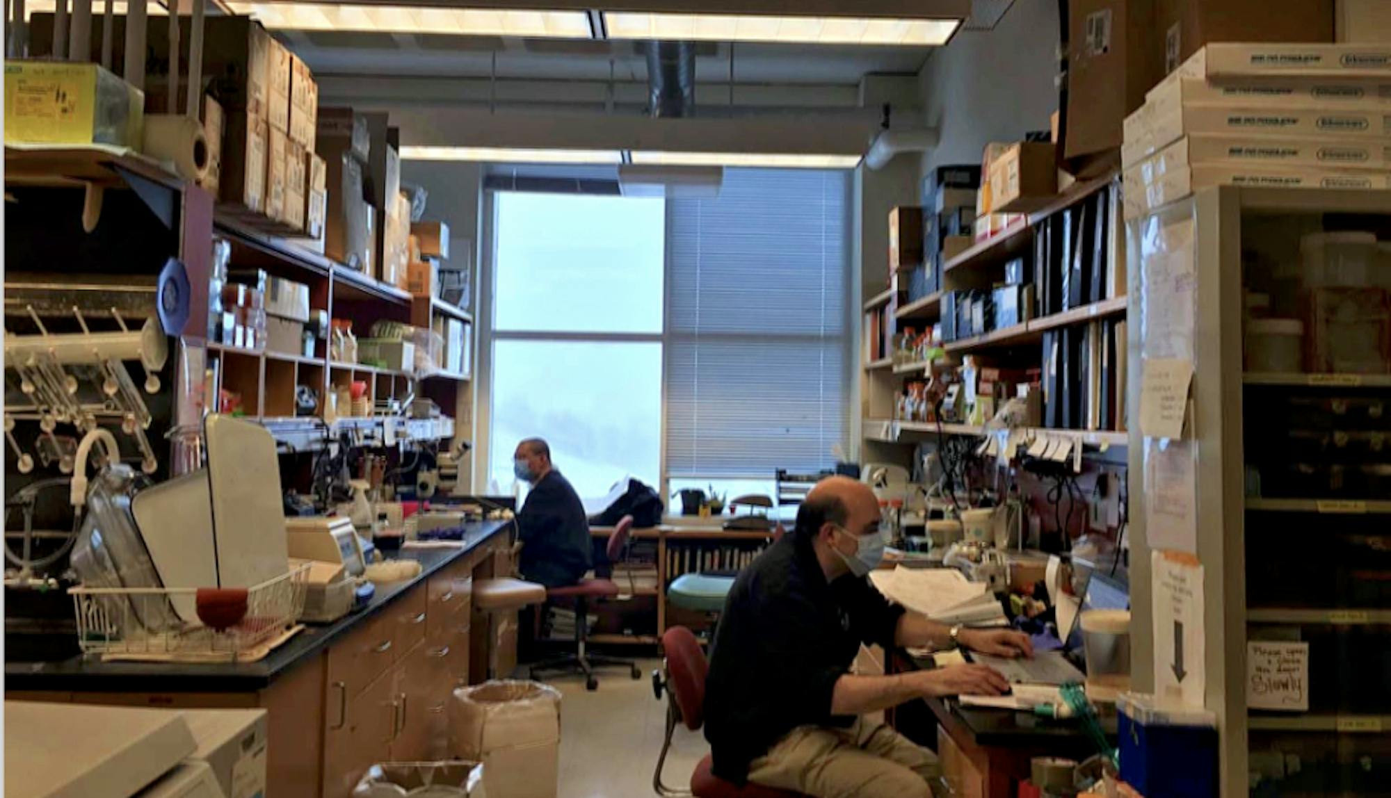 Screen-Shot-2021-03-12-at-12.45.24-AM