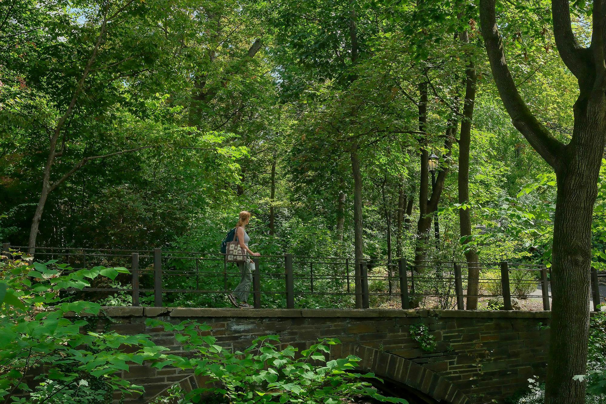 Student Walking to Class