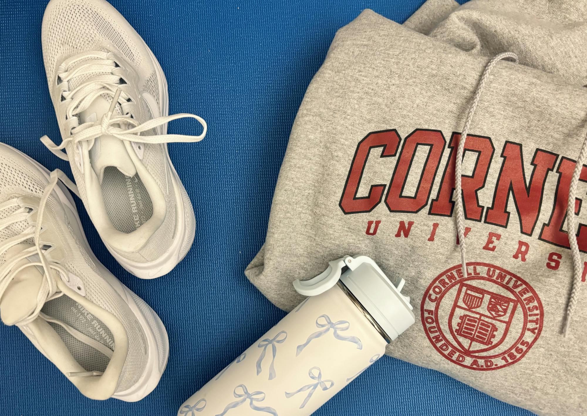 cornell fitness class pic.png