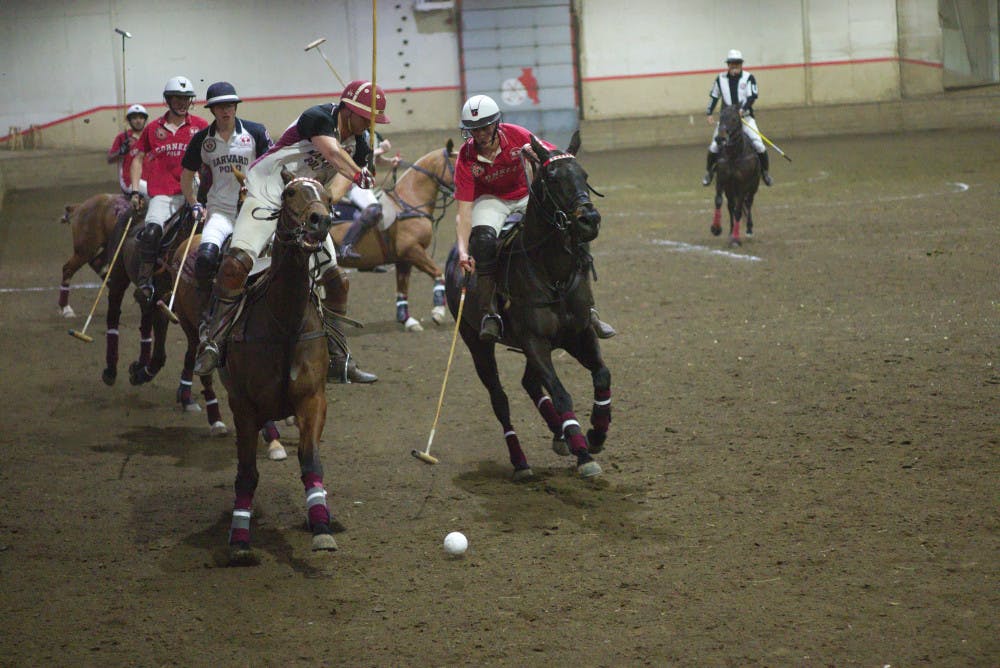 Mens-Polo-vs-Harvard-by-Adrian-BoteanuIMGP3035