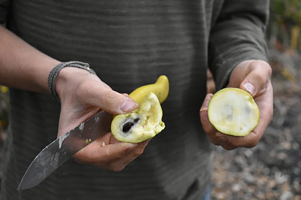 Pg-8-Dining-Dilmun-Hill-3-Jack-Waxman-Staff-Contributor