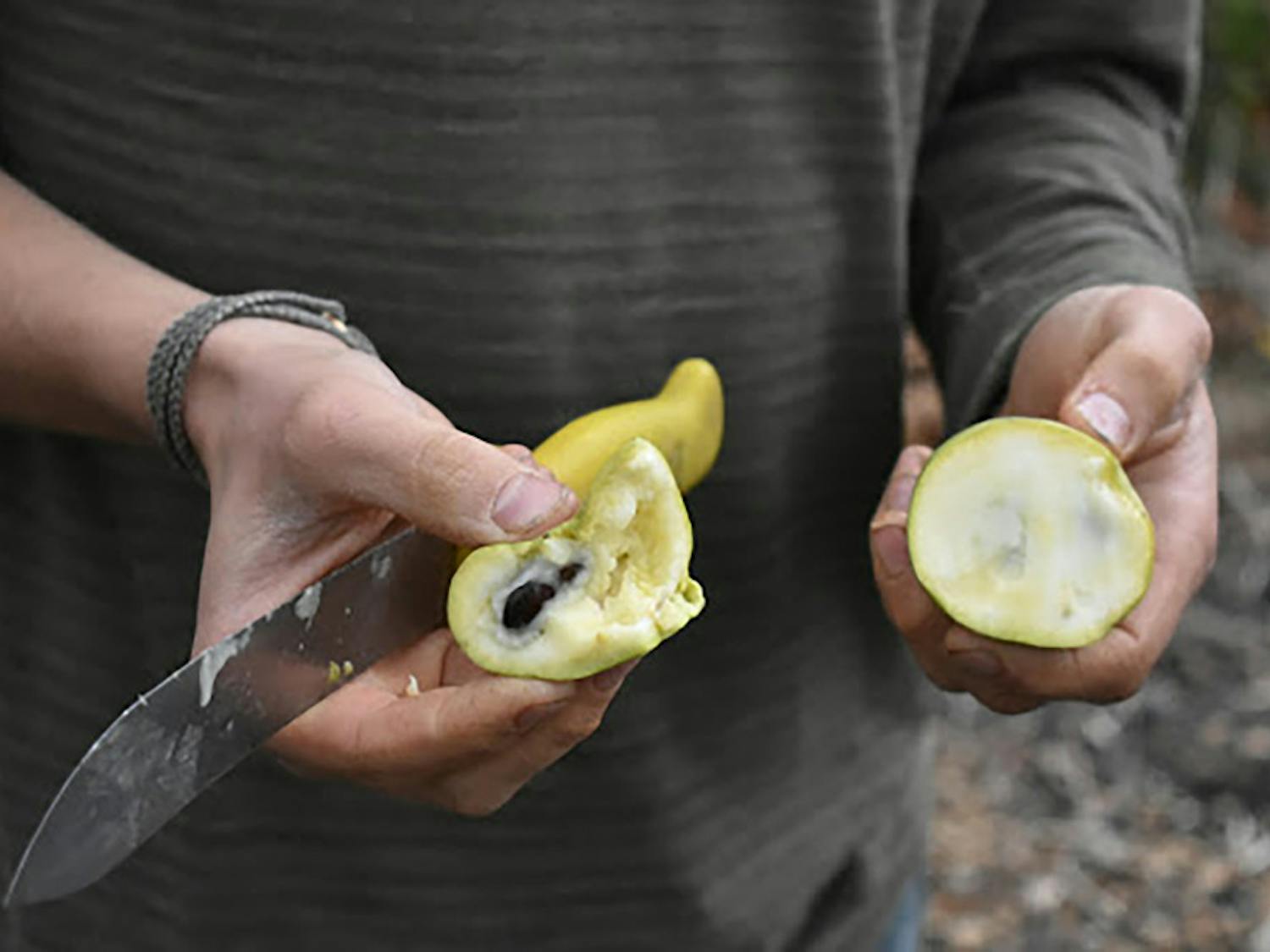 Pg-8-Dining-Dilmun-Hill-3-Jack-Waxman-Staff-Contributor