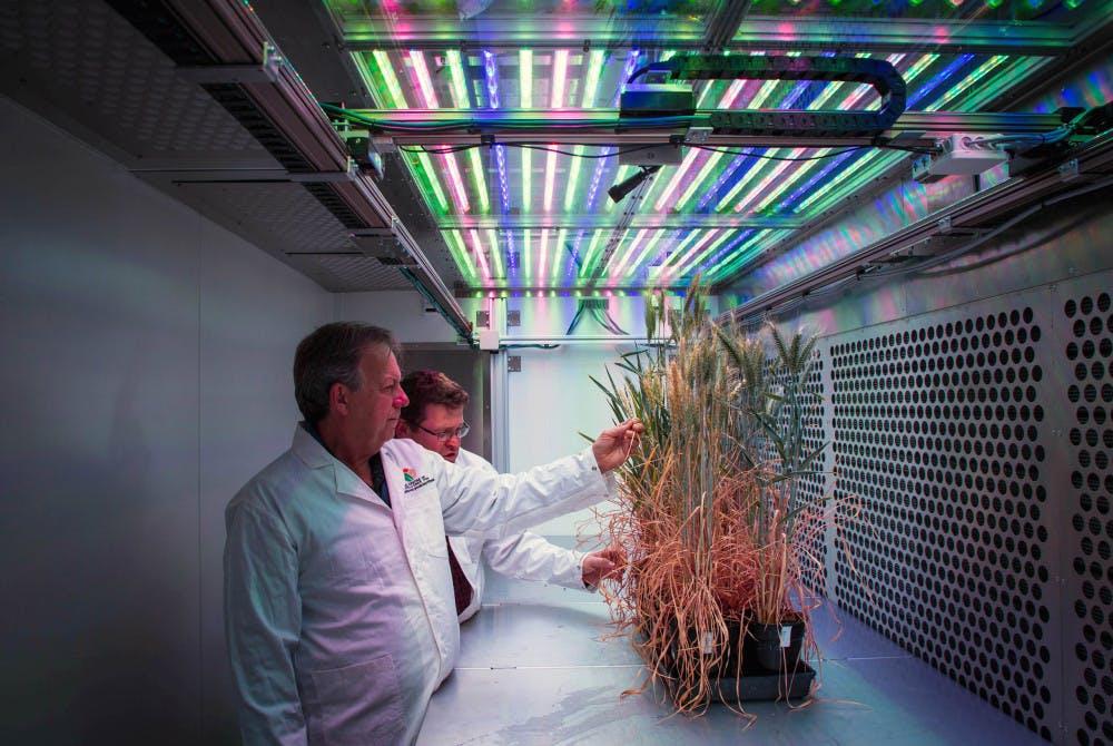 CLIMATE-CROPS-EFFICIENCY-3-scaled