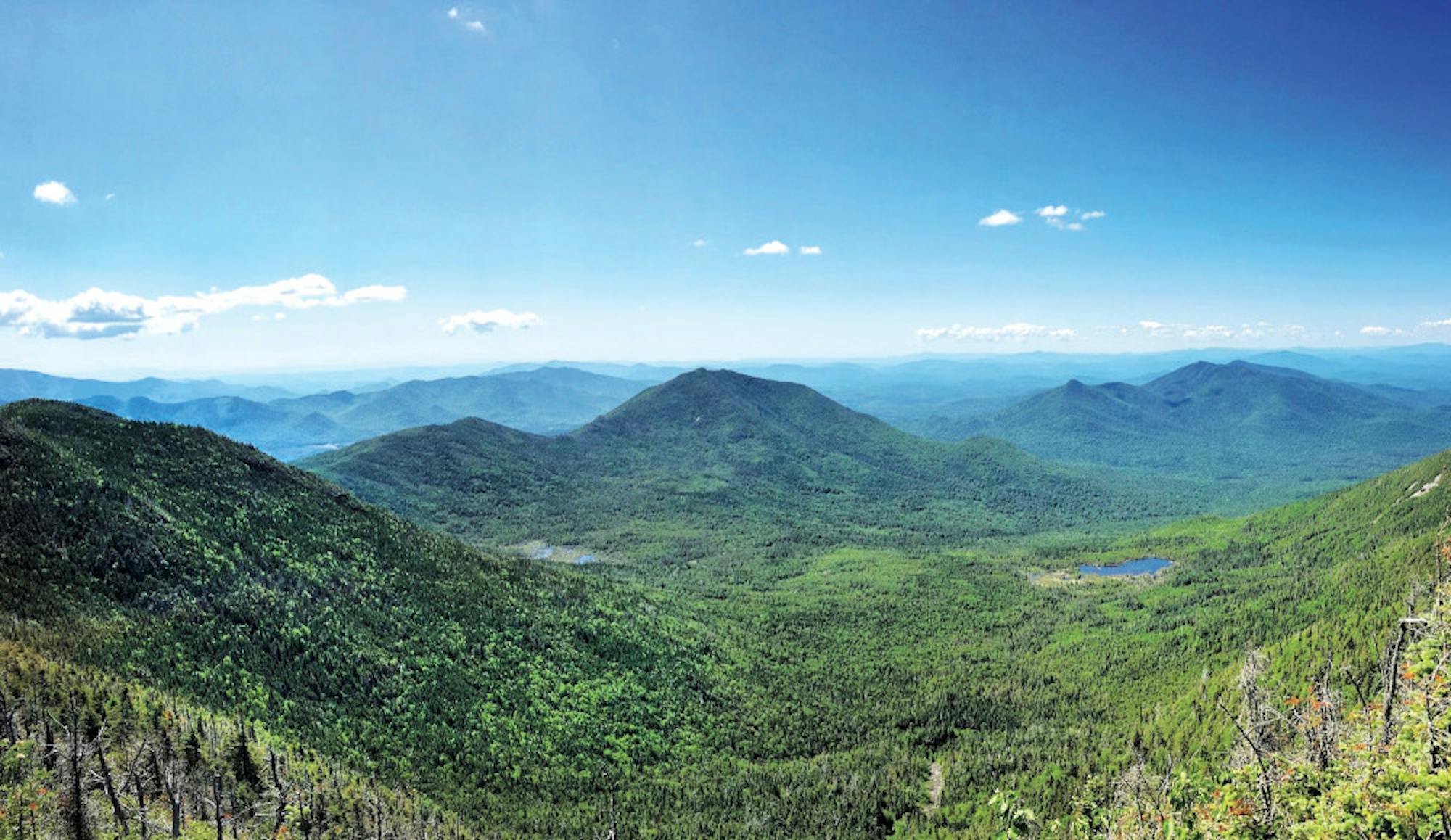 Pg-5-Arts-Adirondacks-View