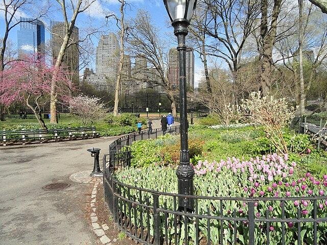 Walking_paths_in_Central_Park_-_DSC05937.jpg